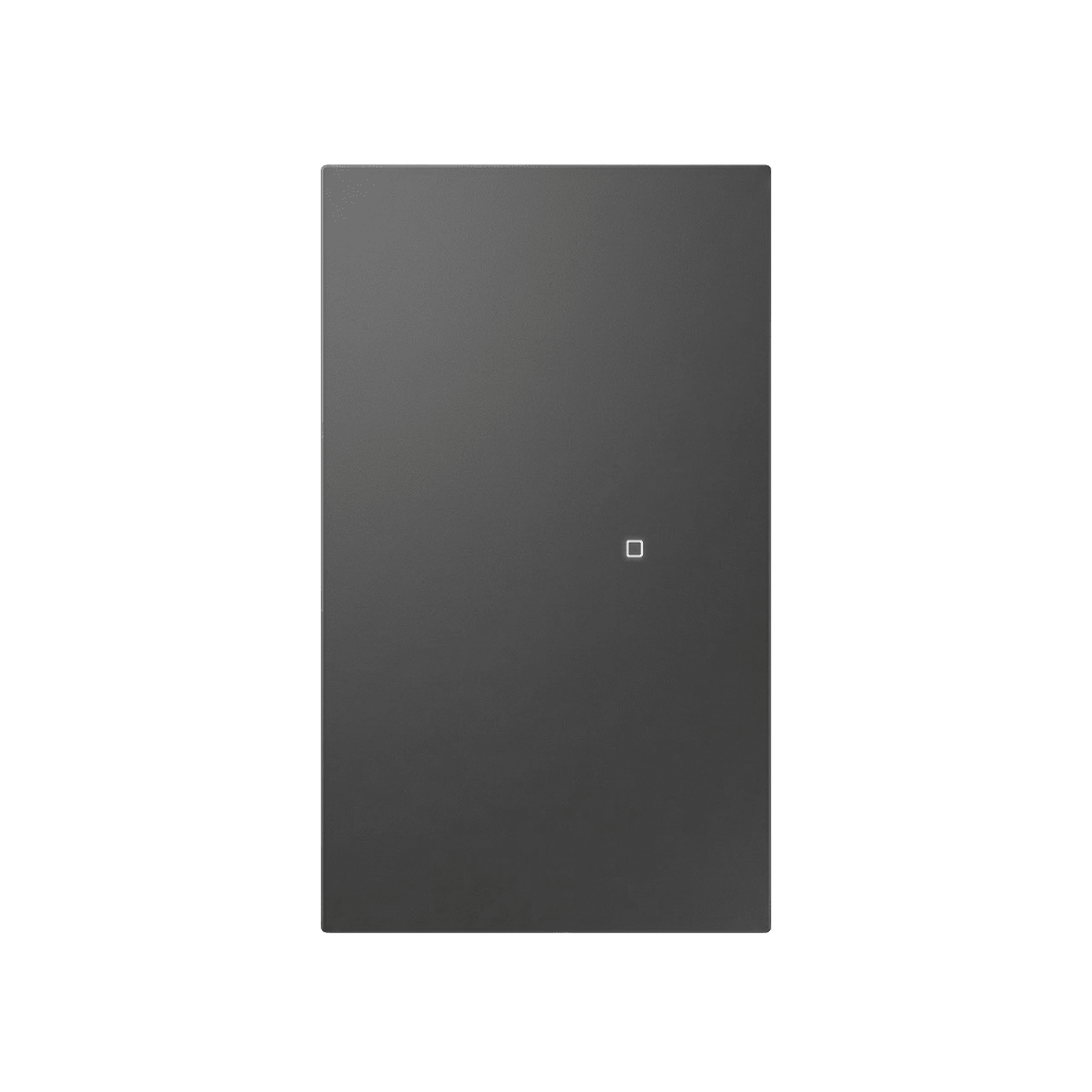 Apagador inalámbrico ZigBee 110-220V 1 GANG