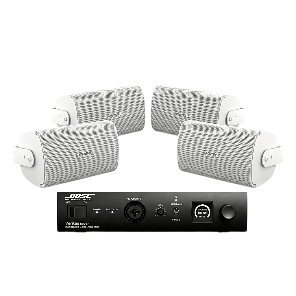 KIT de Amplificador 1100BH + 2 Pares de Bocinas FS2SEW